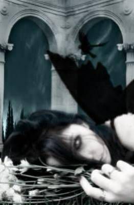 kan il n y a plus d amour il y a la .......................